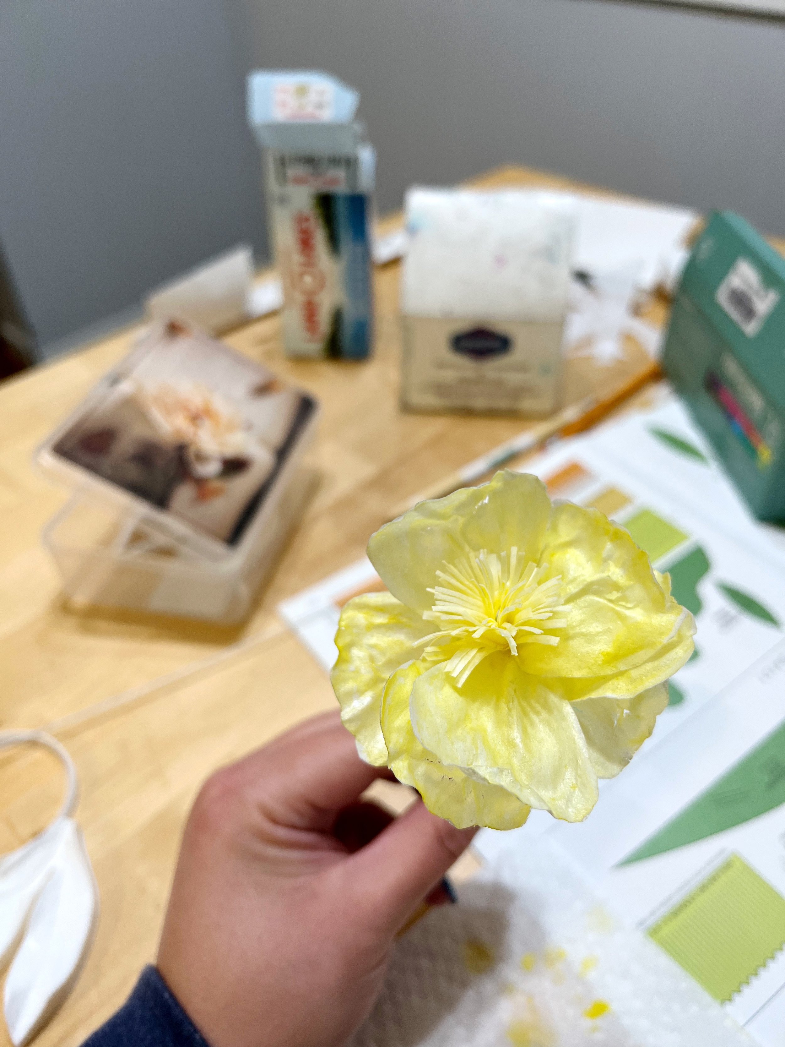 Wafer paper flowers and finding beauty in slow growth — Olivia Adams